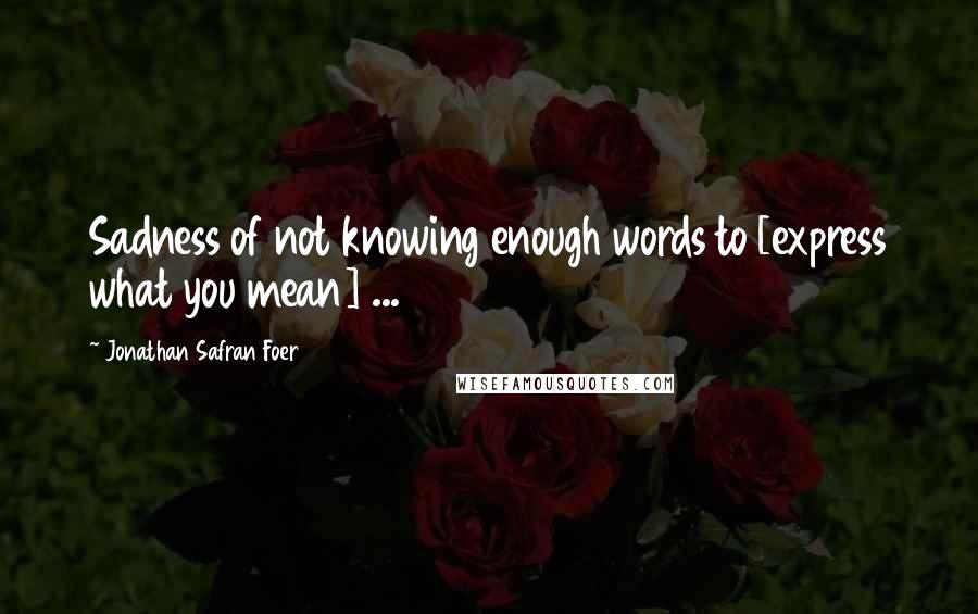 Jonathan Safran Foer Quotes: Sadness of not knowing enough words to [express what you mean] ...