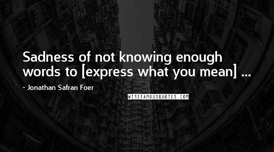 Jonathan Safran Foer Quotes: Sadness of not knowing enough words to [express what you mean] ...