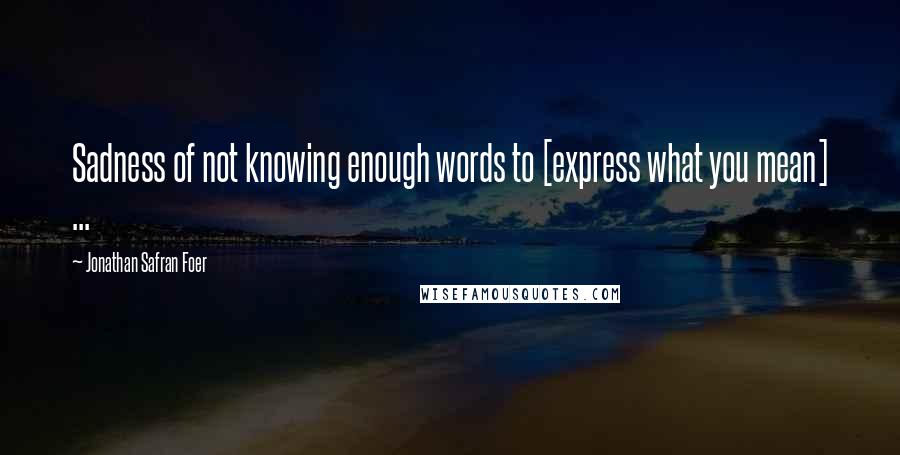 Jonathan Safran Foer Quotes: Sadness of not knowing enough words to [express what you mean] ...