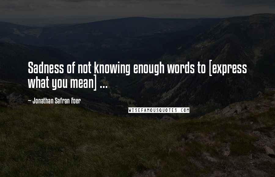 Jonathan Safran Foer Quotes: Sadness of not knowing enough words to [express what you mean] ...