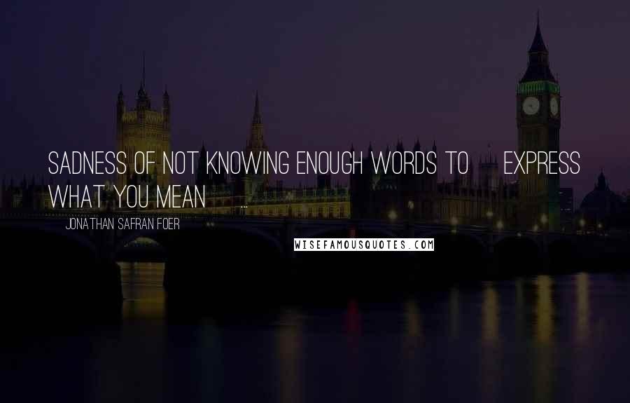 Jonathan Safran Foer Quotes: Sadness of not knowing enough words to [express what you mean] ...