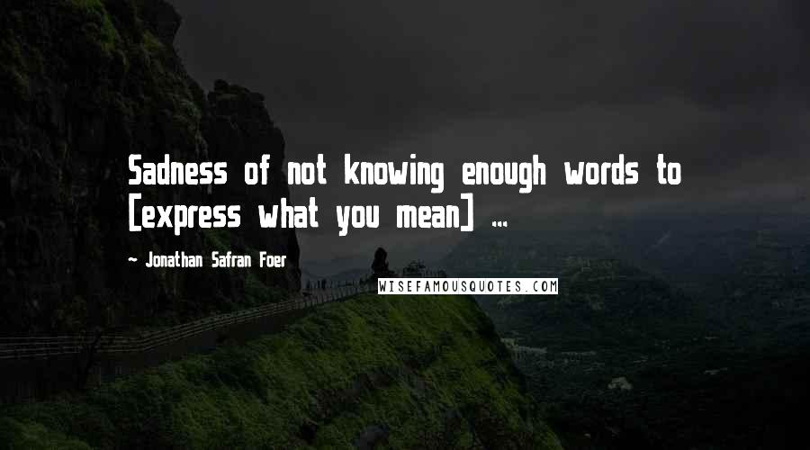 Jonathan Safran Foer Quotes: Sadness of not knowing enough words to [express what you mean] ...