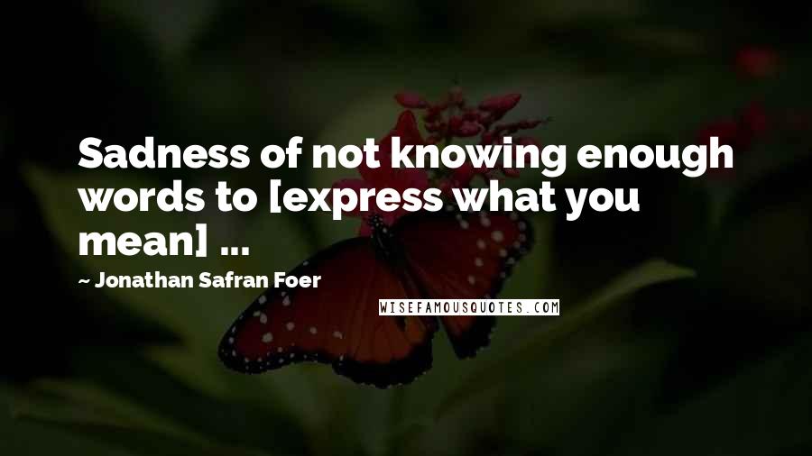 Jonathan Safran Foer Quotes: Sadness of not knowing enough words to [express what you mean] ...