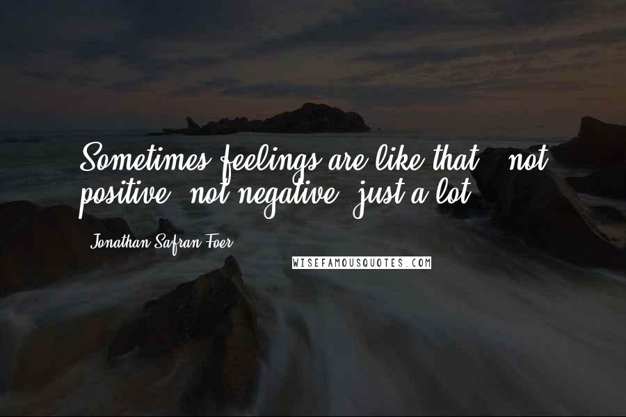 Jonathan Safran Foer Quotes: Sometimes feelings are like that - not positive, not negative, just a lot.