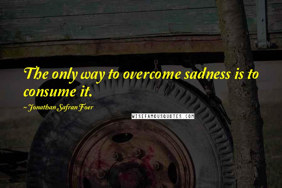 Jonathan Safran Foer Quotes: The only way to overcome sadness is to consume it.