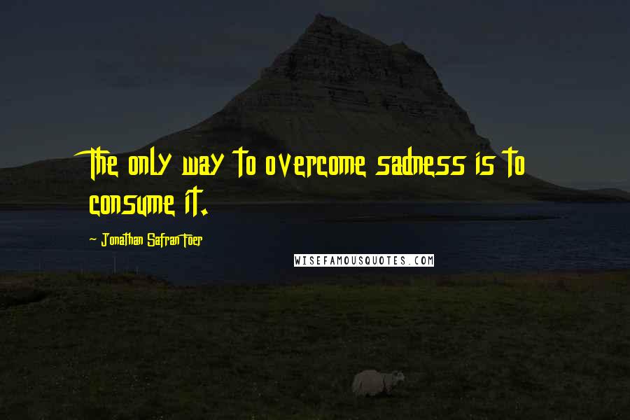 Jonathan Safran Foer Quotes: The only way to overcome sadness is to consume it.