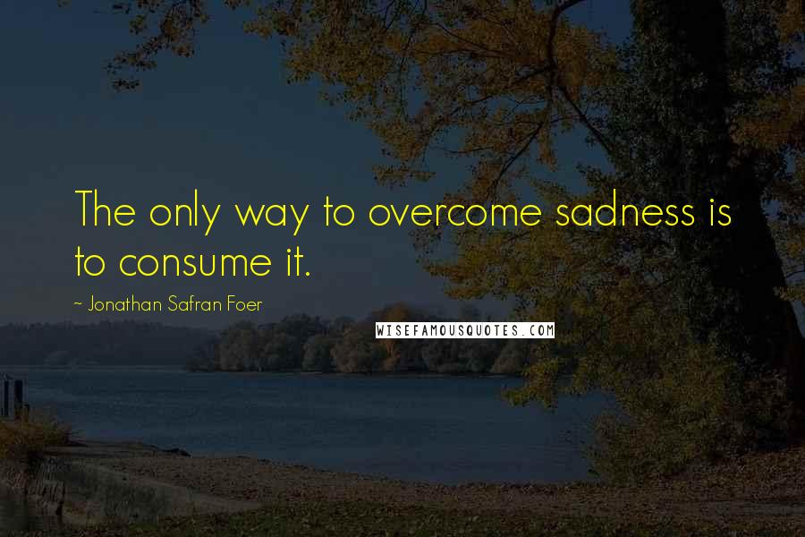 Jonathan Safran Foer Quotes: The only way to overcome sadness is to consume it.