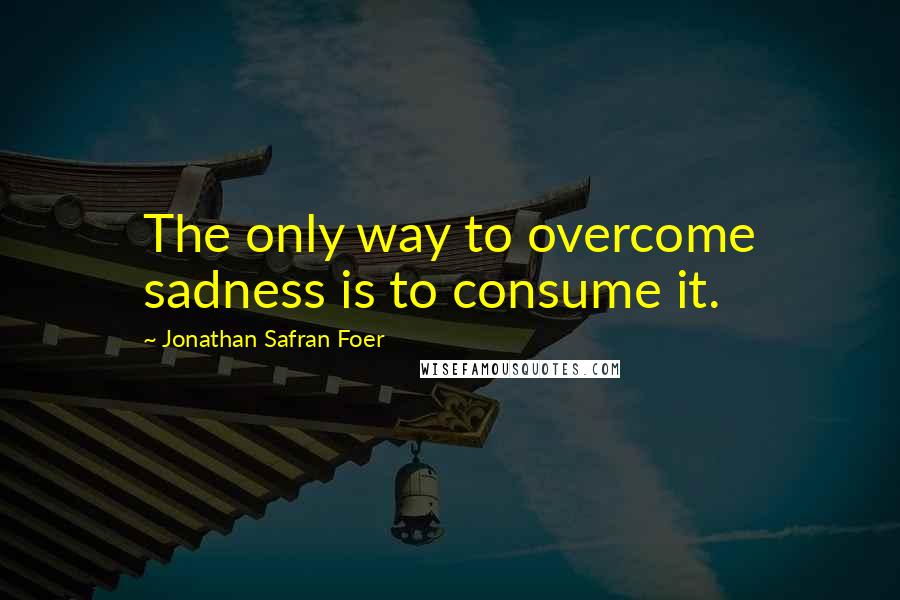Jonathan Safran Foer Quotes: The only way to overcome sadness is to consume it.
