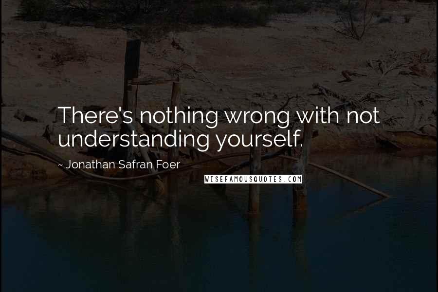 Jonathan Safran Foer Quotes: There's nothing wrong with not understanding yourself.