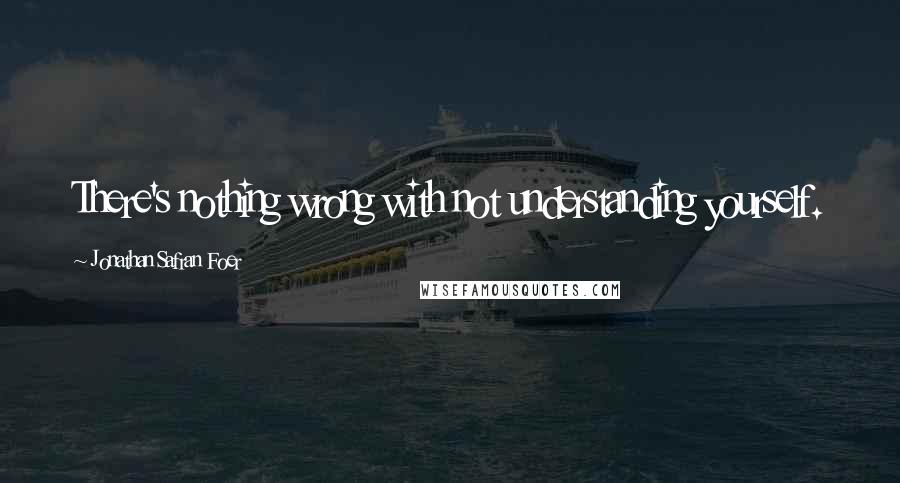 Jonathan Safran Foer Quotes: There's nothing wrong with not understanding yourself.