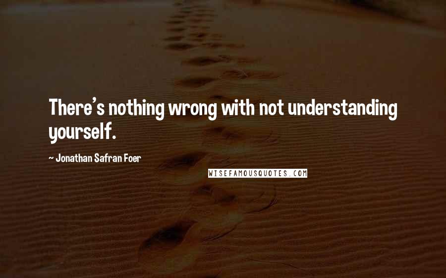 Jonathan Safran Foer Quotes: There's nothing wrong with not understanding yourself.