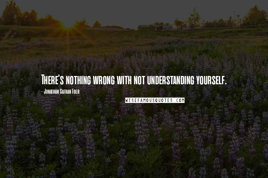 Jonathan Safran Foer Quotes: There's nothing wrong with not understanding yourself.