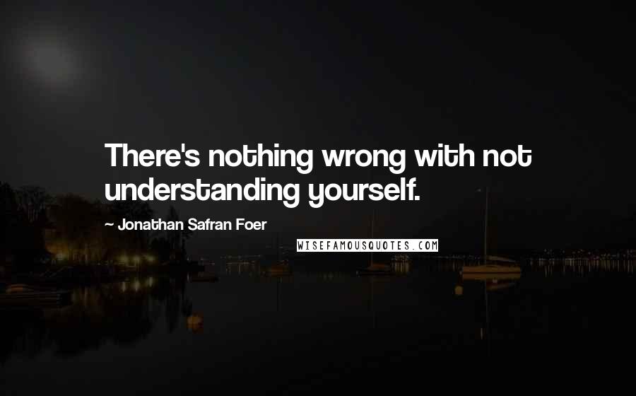 Jonathan Safran Foer Quotes: There's nothing wrong with not understanding yourself.