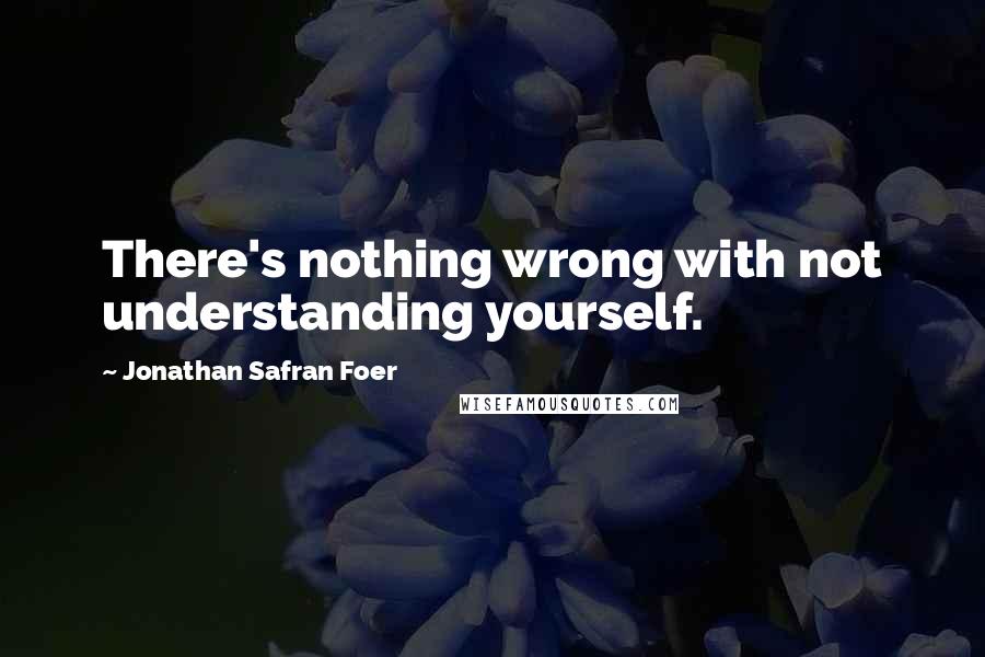 Jonathan Safran Foer Quotes: There's nothing wrong with not understanding yourself.