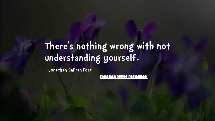 Jonathan Safran Foer Quotes: There's nothing wrong with not understanding yourself.