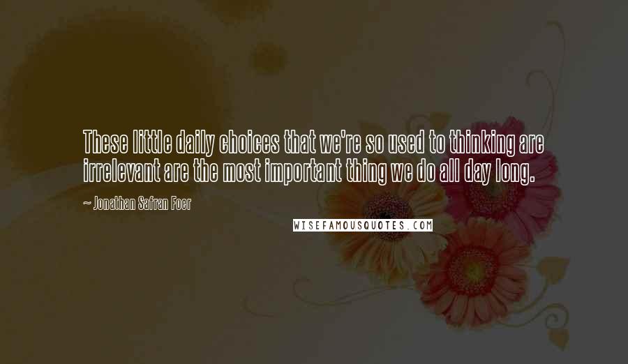 Jonathan Safran Foer Quotes: These little daily choices that we're so used to thinking are irrelevant are the most important thing we do all day long.