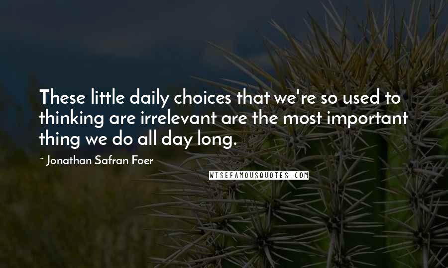 Jonathan Safran Foer Quotes: These little daily choices that we're so used to thinking are irrelevant are the most important thing we do all day long.