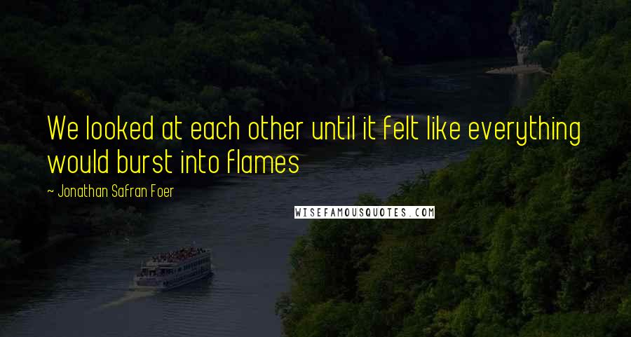 Jonathan Safran Foer Quotes: We looked at each other until it felt like everything would burst into flames