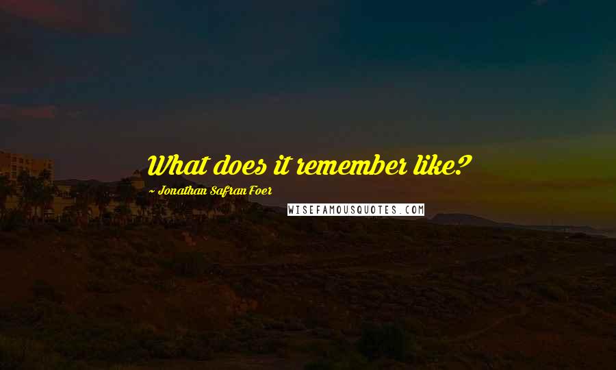 Jonathan Safran Foer Quotes: What does it remember like?