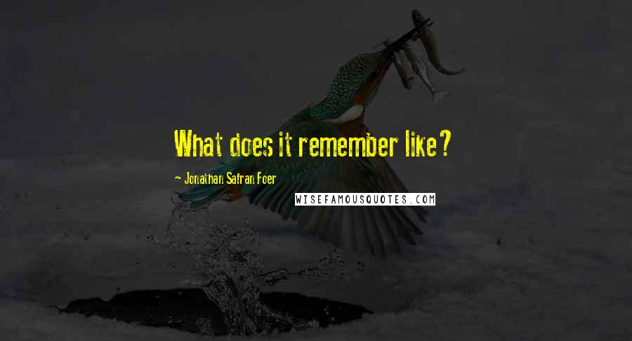 Jonathan Safran Foer Quotes: What does it remember like?