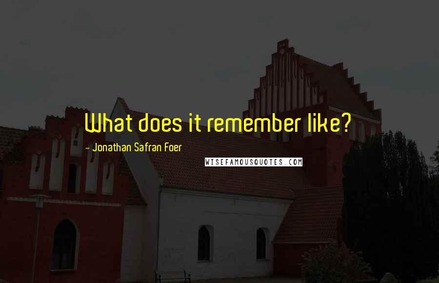 Jonathan Safran Foer Quotes: What does it remember like?
