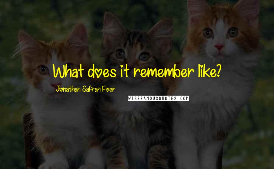 Jonathan Safran Foer Quotes: What does it remember like?