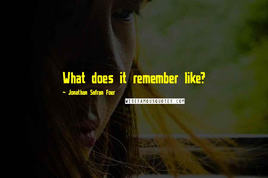Jonathan Safran Foer Quotes: What does it remember like?