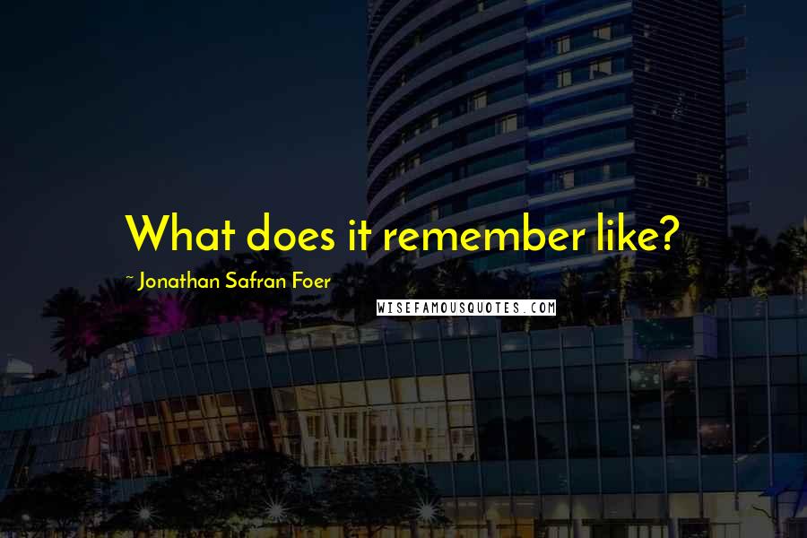 Jonathan Safran Foer Quotes: What does it remember like?