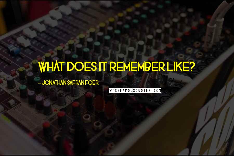 Jonathan Safran Foer Quotes: What does it remember like?