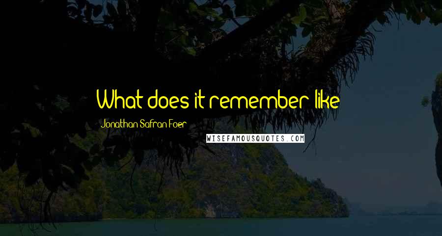 Jonathan Safran Foer Quotes: What does it remember like?