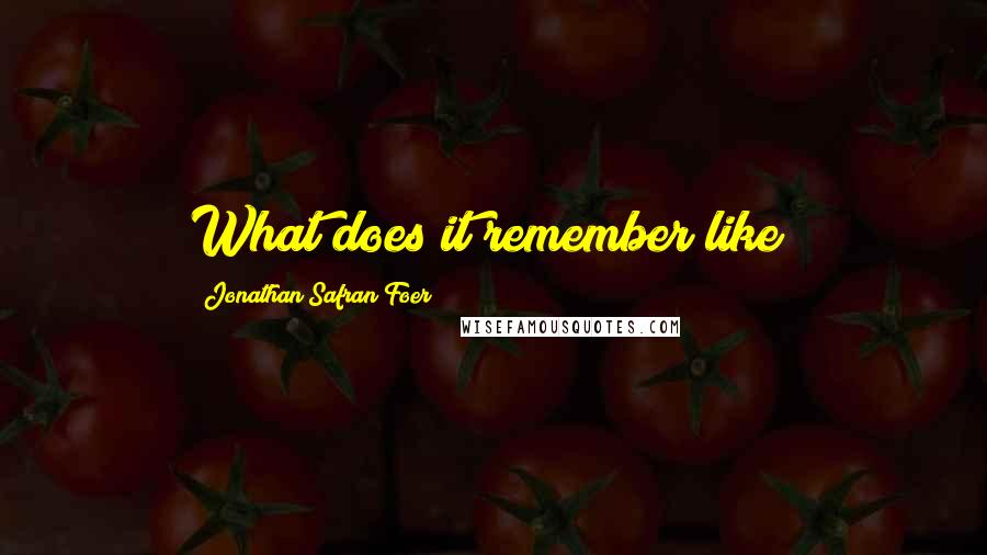 Jonathan Safran Foer Quotes: What does it remember like?