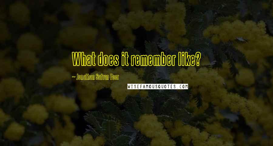 Jonathan Safran Foer Quotes: What does it remember like?