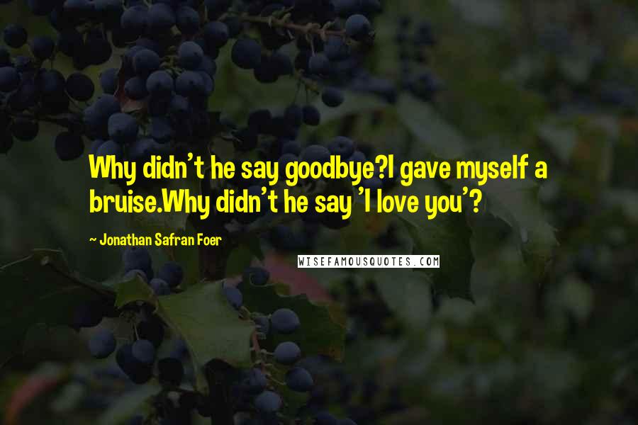 Jonathan Safran Foer Quotes: Why didn't he say goodbye?I gave myself a bruise.Why didn't he say 'I love you'?