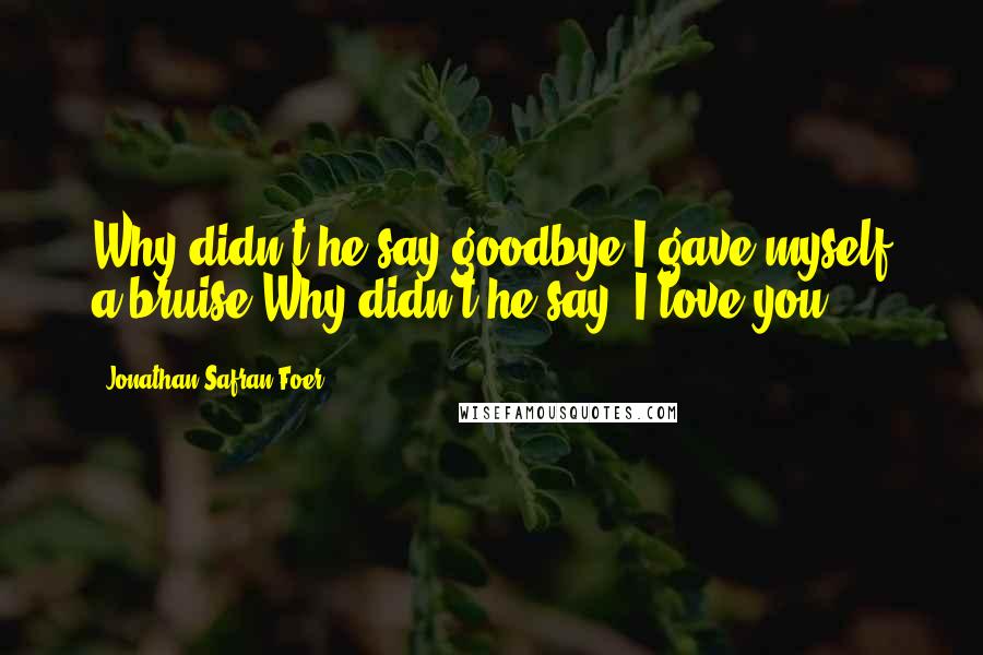 Jonathan Safran Foer Quotes: Why didn't he say goodbye?I gave myself a bruise.Why didn't he say 'I love you'?