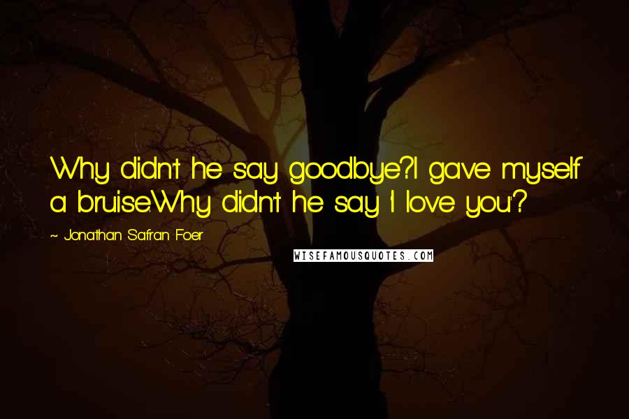 Jonathan Safran Foer Quotes: Why didn't he say goodbye?I gave myself a bruise.Why didn't he say 'I love you'?