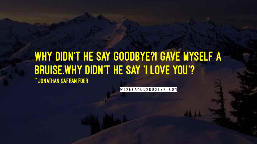 Jonathan Safran Foer Quotes: Why didn't he say goodbye?I gave myself a bruise.Why didn't he say 'I love you'?