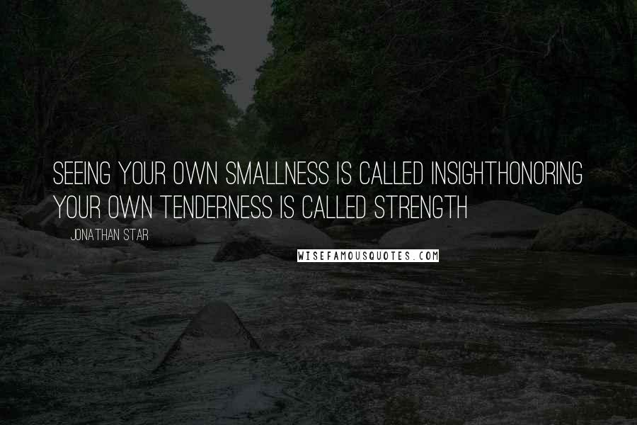 Jonathan Star Quotes: Seeing your own smallness is called insightHonoring your own tenderness is called strength