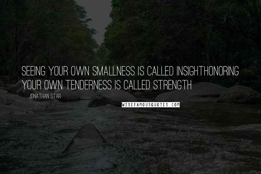 Jonathan Star Quotes: Seeing your own smallness is called insightHonoring your own tenderness is called strength