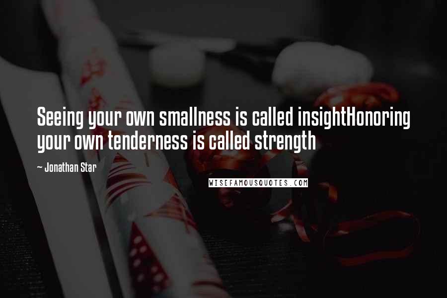 Jonathan Star Quotes: Seeing your own smallness is called insightHonoring your own tenderness is called strength