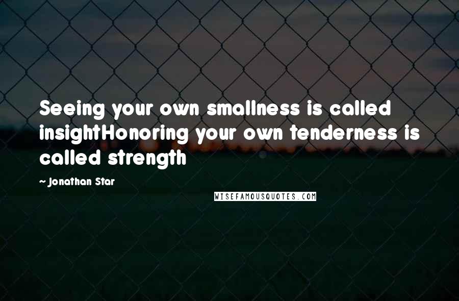 Jonathan Star Quotes: Seeing your own smallness is called insightHonoring your own tenderness is called strength