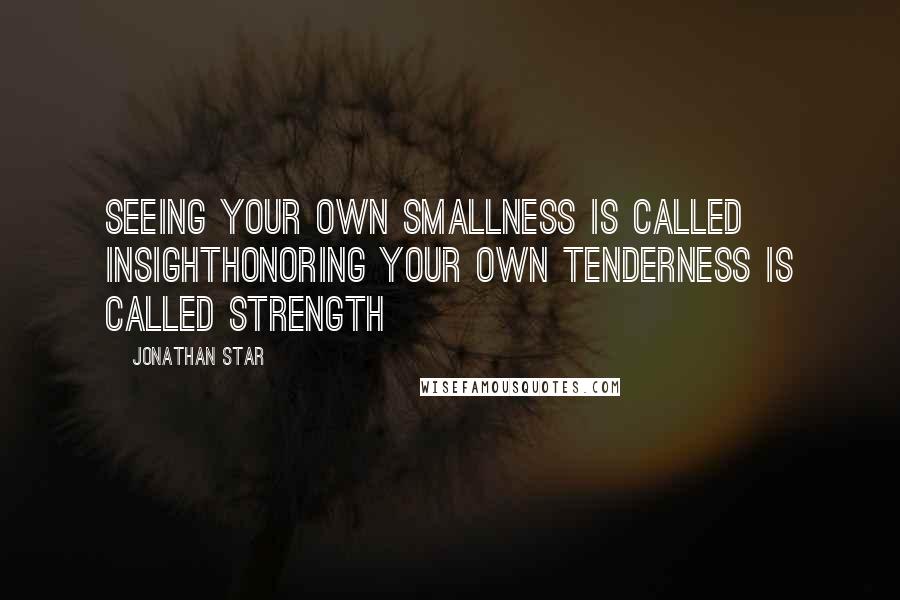 Jonathan Star Quotes: Seeing your own smallness is called insightHonoring your own tenderness is called strength