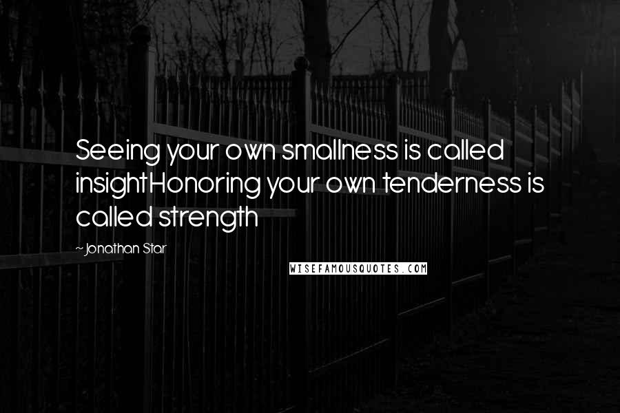 Jonathan Star Quotes: Seeing your own smallness is called insightHonoring your own tenderness is called strength