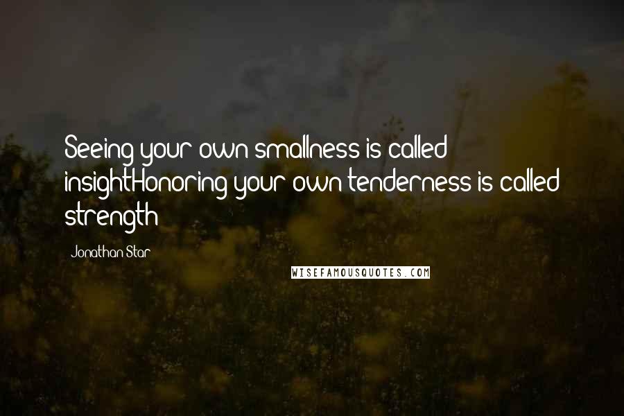 Jonathan Star Quotes: Seeing your own smallness is called insightHonoring your own tenderness is called strength