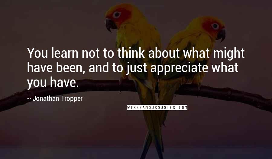 Jonathan Tropper Quotes: You learn not to think about what might have been, and to just appreciate what you have.