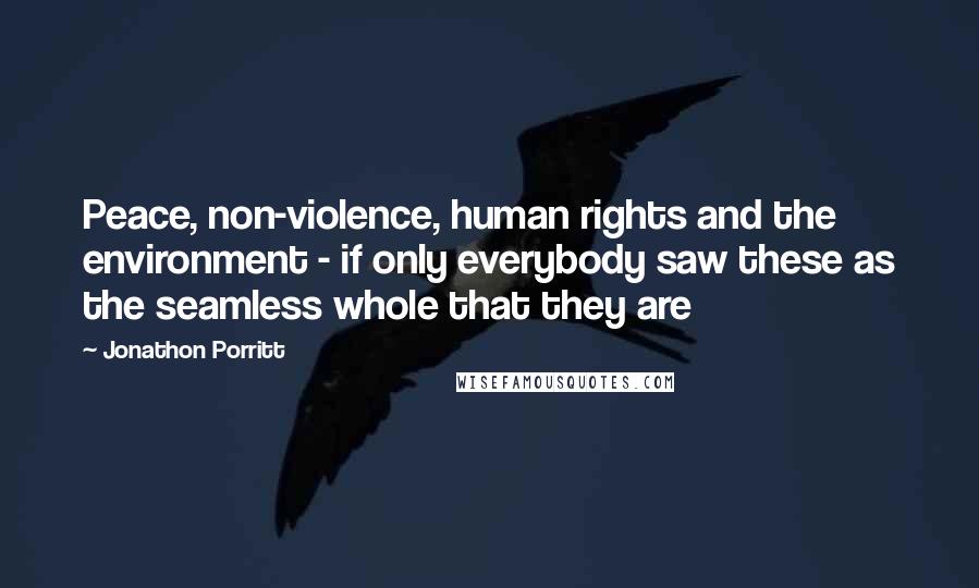 Jonathon Porritt Quotes: Peace, non-violence, human rights and the environment - if only everybody saw these as the seamless whole that they are