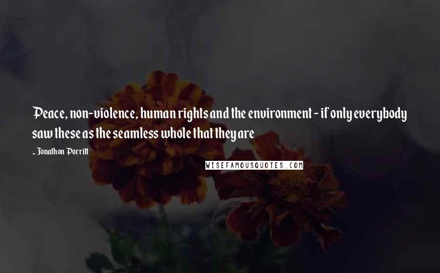 Jonathon Porritt Quotes: Peace, non-violence, human rights and the environment - if only everybody saw these as the seamless whole that they are