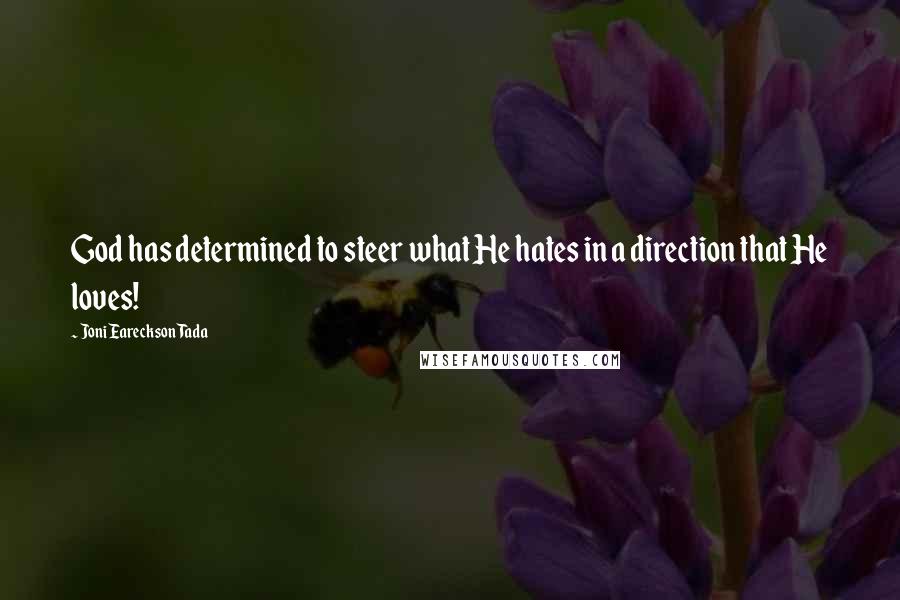 Joni Eareckson Tada Quotes: God has determined to steer what He hates in a direction that He loves!