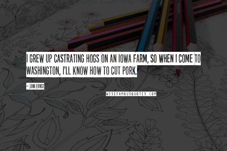 Joni Ernst Quotes: I grew up castrating hogs on an Iowa farm, so when I come to Washington, I'll know how to cut pork.