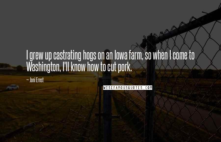 Joni Ernst Quotes: I grew up castrating hogs on an Iowa farm, so when I come to Washington, I'll know how to cut pork.