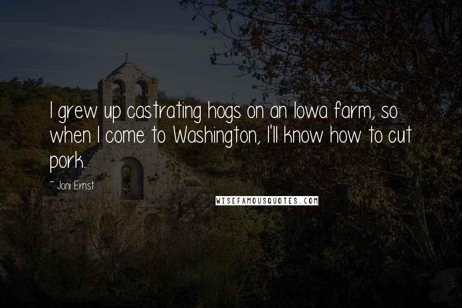 Joni Ernst Quotes: I grew up castrating hogs on an Iowa farm, so when I come to Washington, I'll know how to cut pork.